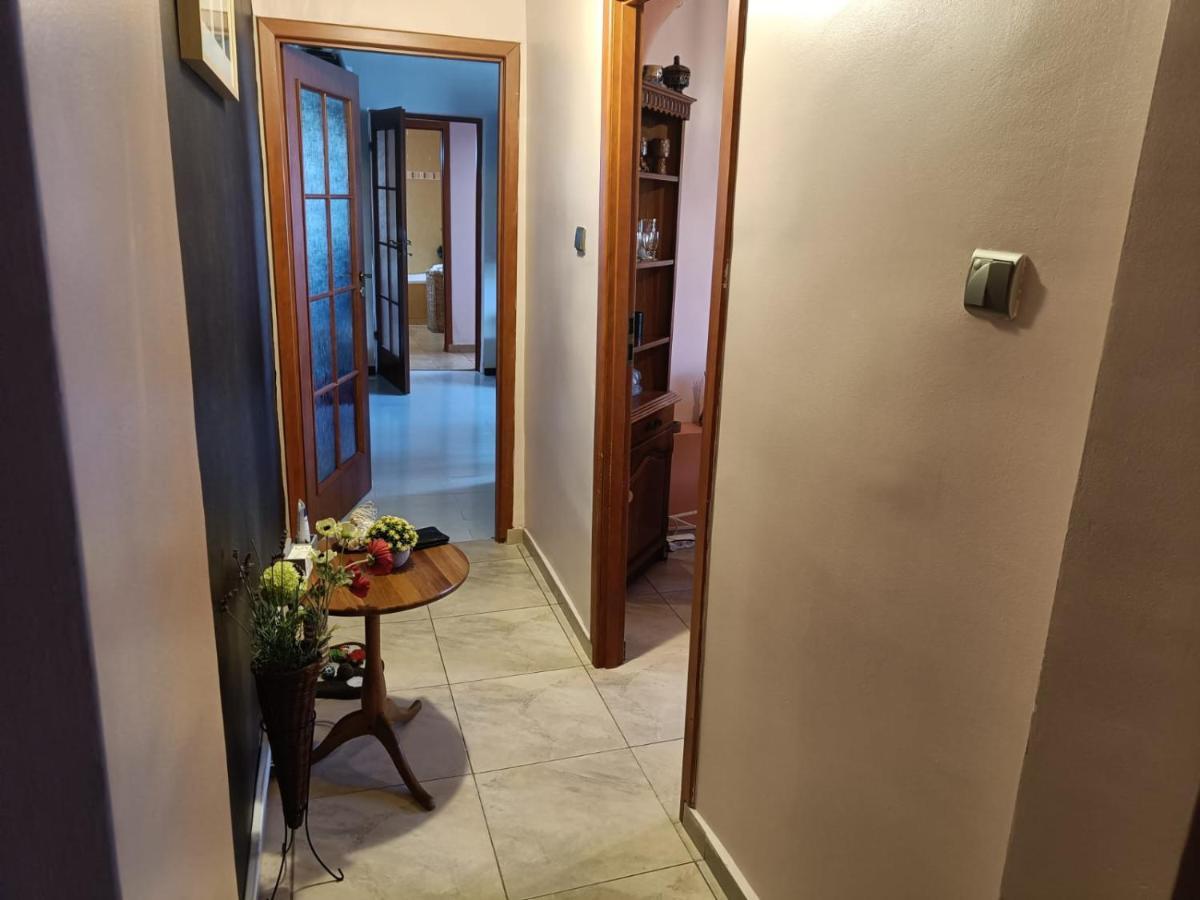 康斯坦察Grati'S House公寓 外观 照片